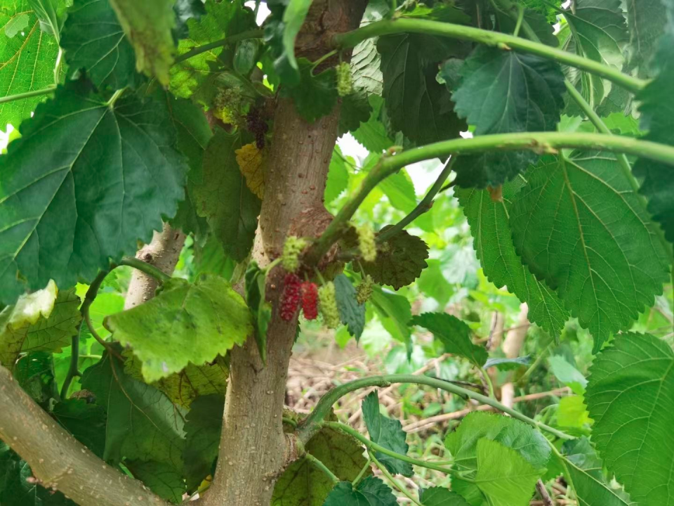 1b1e145613184fc0b841c837ddfc68a7.png yl88858永利集团