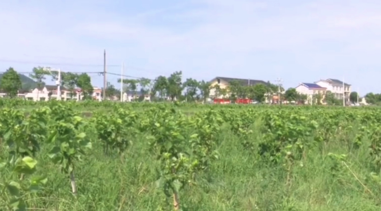 6b8ac3cf8ec7457b9c1845f6af6ef743.png yl88858永利集团